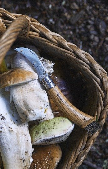OPINEL_MUSHROOM